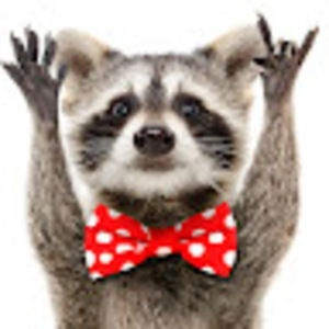 Meet your Posher, Brody